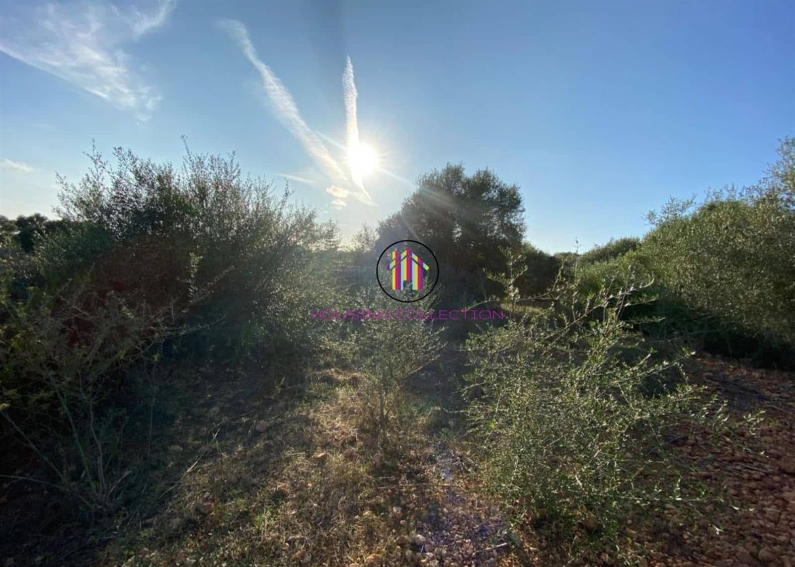 Finca/Country House for sale in Llucmajor - € 475,000 (Ref: 9832769)