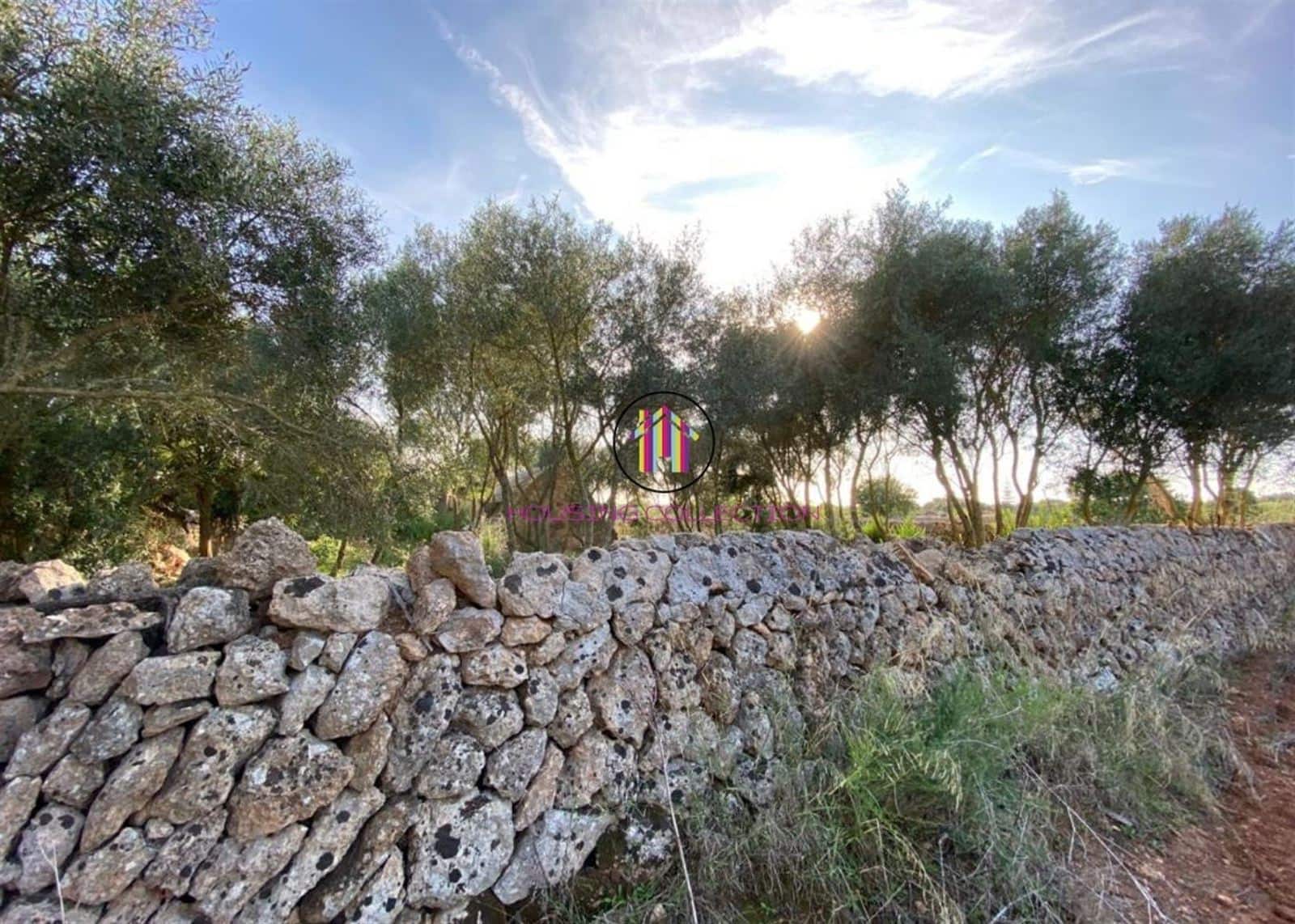 Finca/Country House for sale in Llucmajor - € 475,000 (Ref: 9832769)