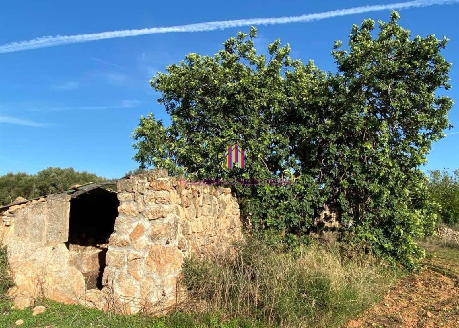 Finca/Country House for sale in Llucmajor - € 475,000 (Ref: 9832769)