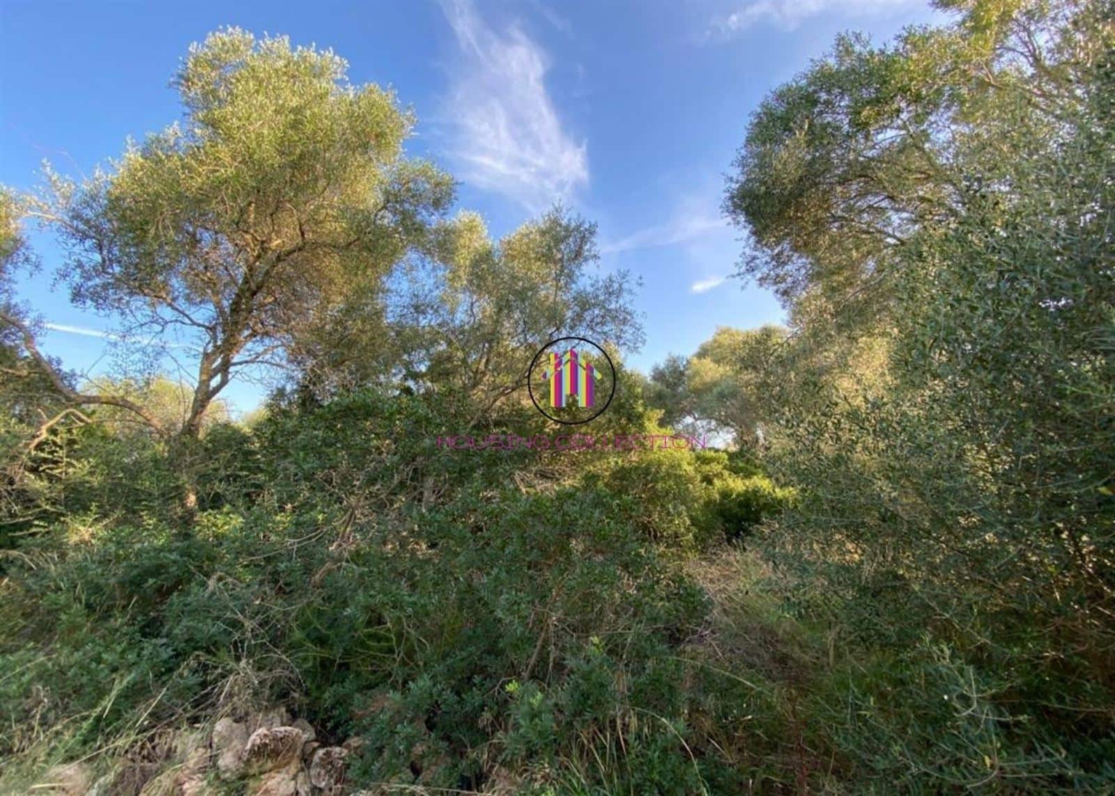 Finca/Country House for sale in Llucmajor - € 475,000 (Ref: 9832769)