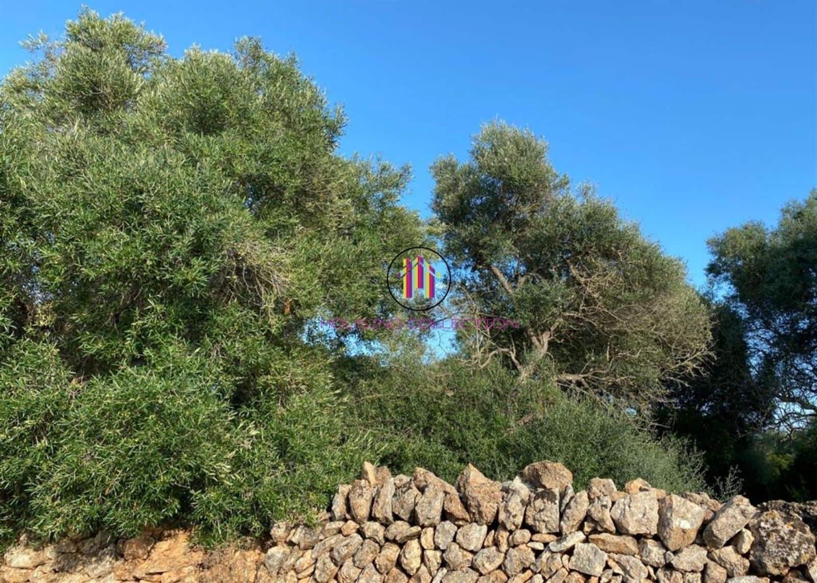 Finca/Country House for sale in Llucmajor - € 475,000 (Ref: 9832769)