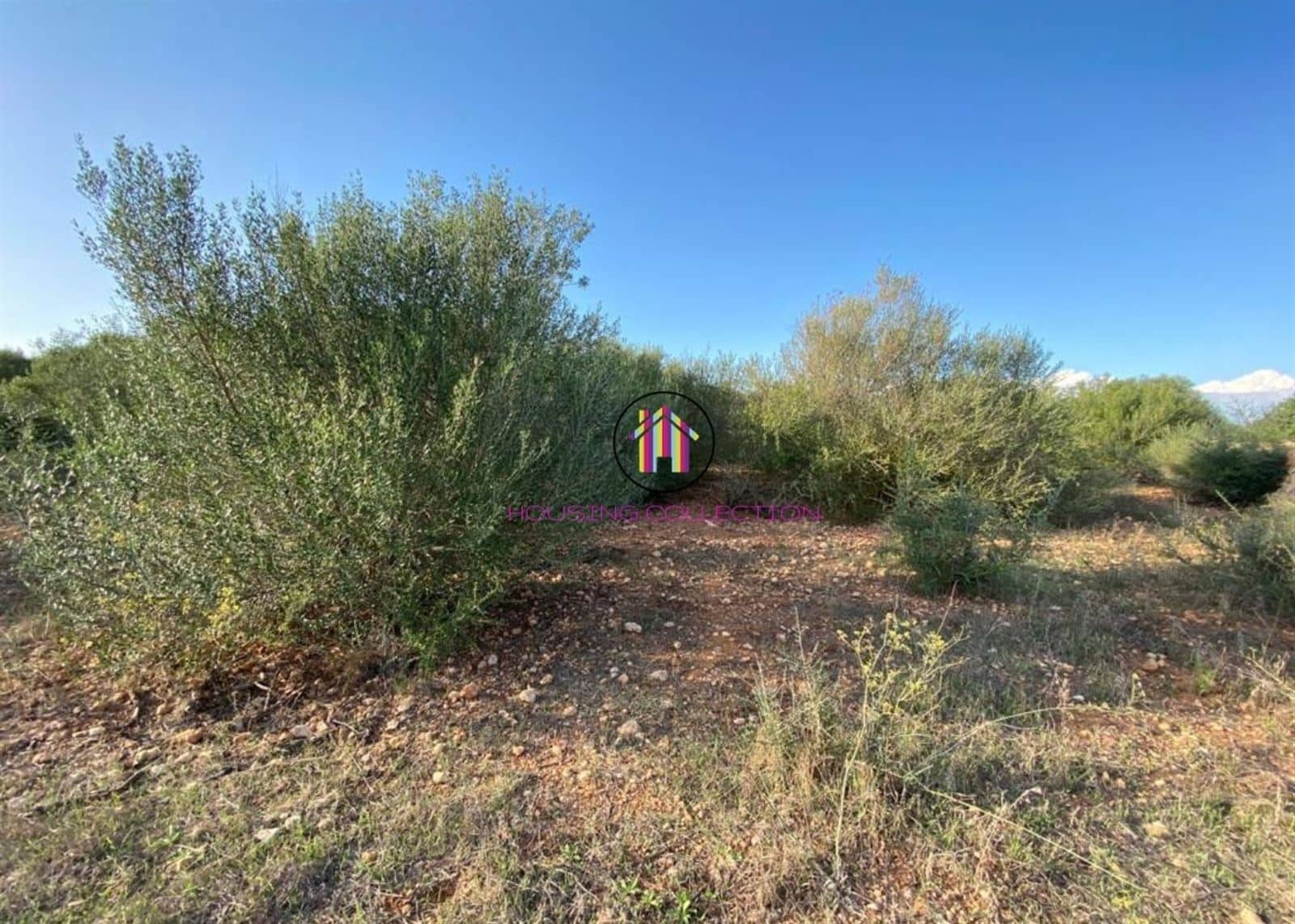 Finca/Country House for sale in Llucmajor - € 475,000 (Ref: 9832769)