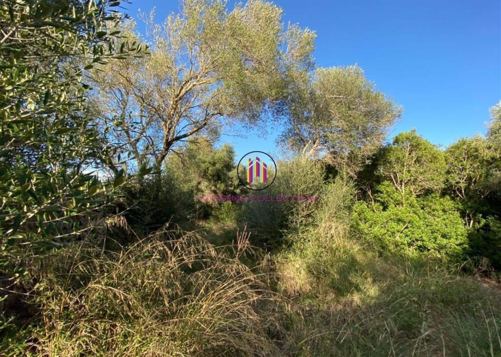 Finca/Country House for sale in Llucmajor - € 475,000 (Ref: 9832769)