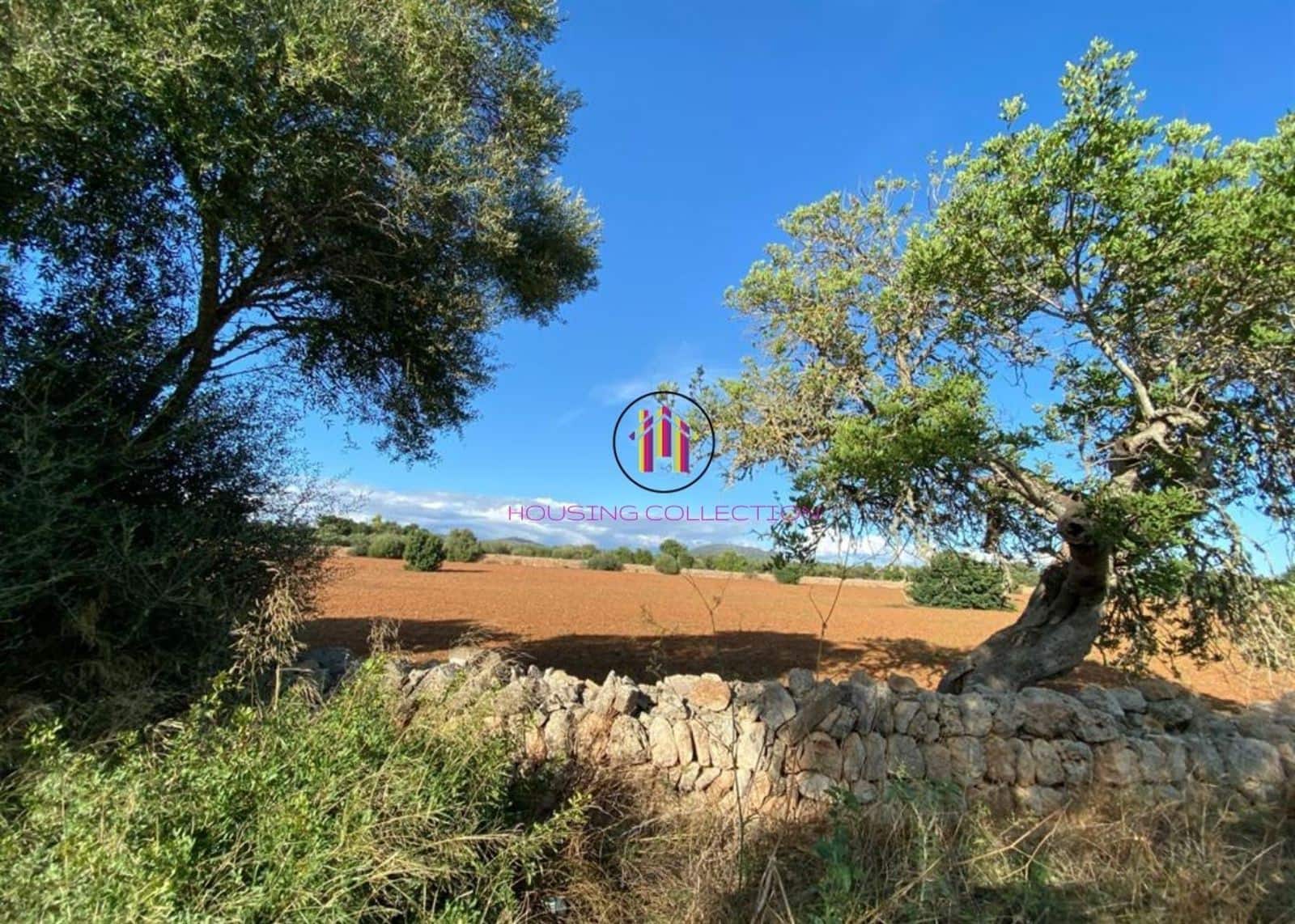 Finca/Country House for sale in Llucmajor - € 475,000 (Ref: 9832769)