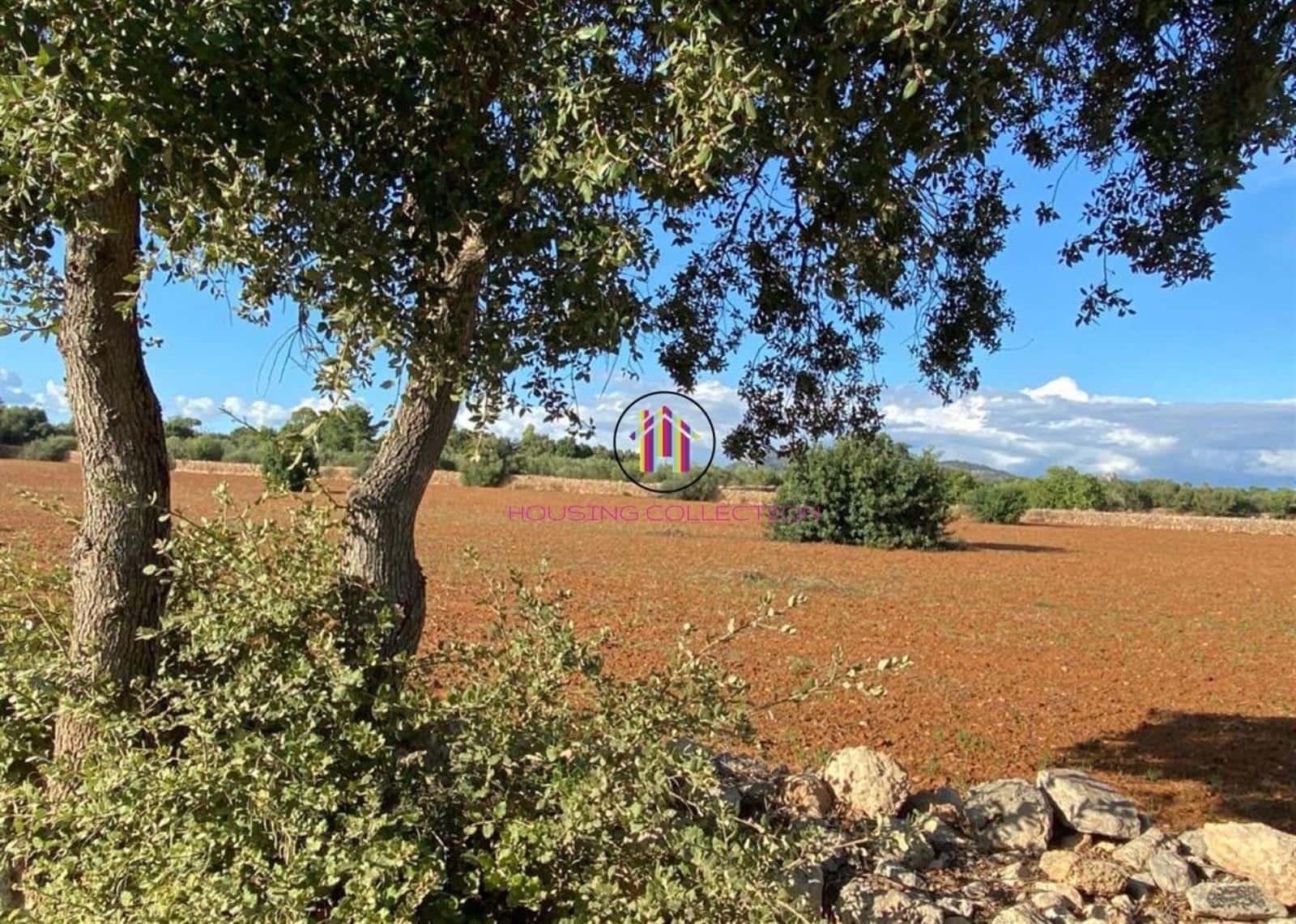 Finca/Country House for sale in Llucmajor - € 475,000 (Ref: 9832769)
