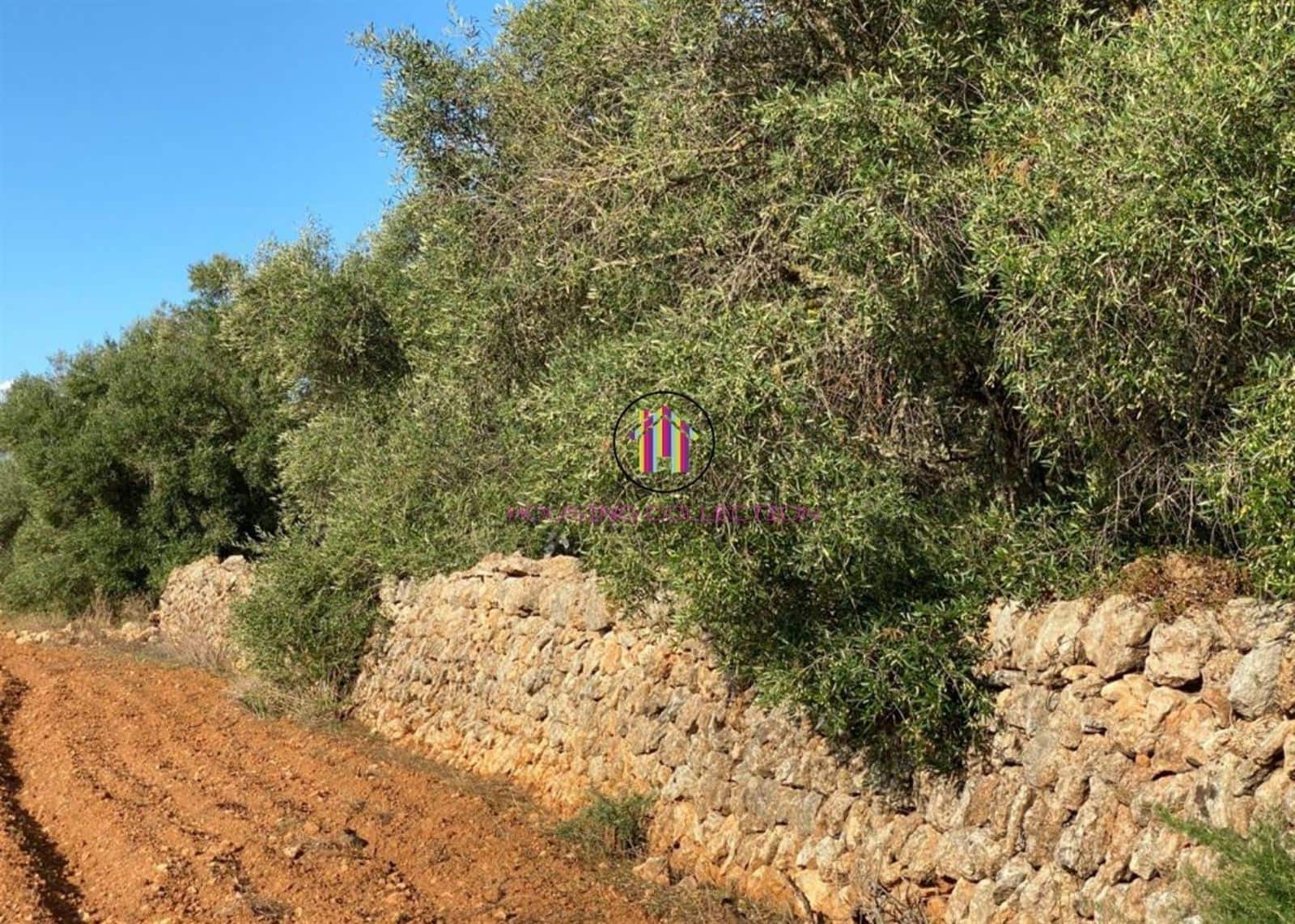 Finca/Country House for sale in Llucmajor - € 475,000 (Ref: 9832769)
