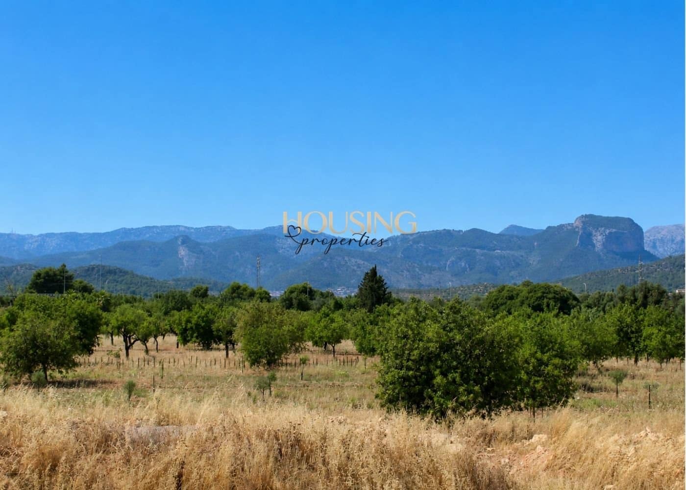 3 camera da letto Finca/Casa di Campagna da affittare in Consell con piscina garage - 9.000 € (Rif: 9909466)