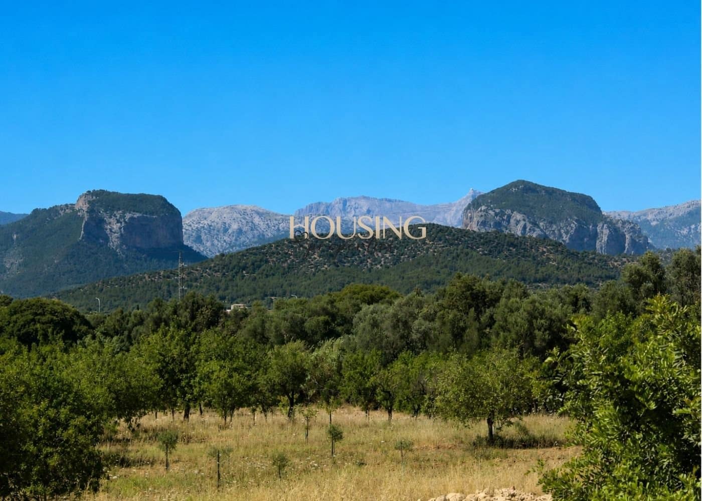 3 camera da letto Finca/Casa di Campagna da affittare in Consell con piscina garage - 9.000 € (Rif: 9909466)