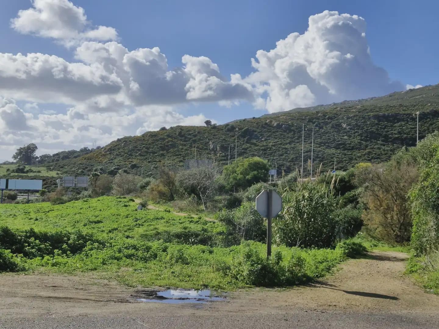 Ubebygd land til salgs i Santa Margarita - € 1 600 000 (Ref: 9818561)