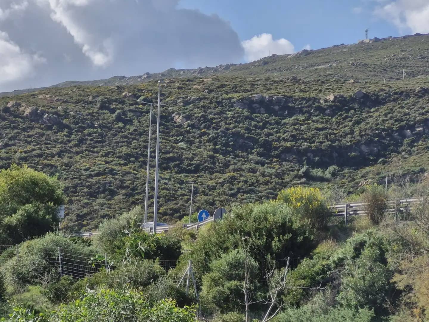 Ubebygd land til salgs i Santa Margarita - € 1 600 000 (Ref: 9818561)