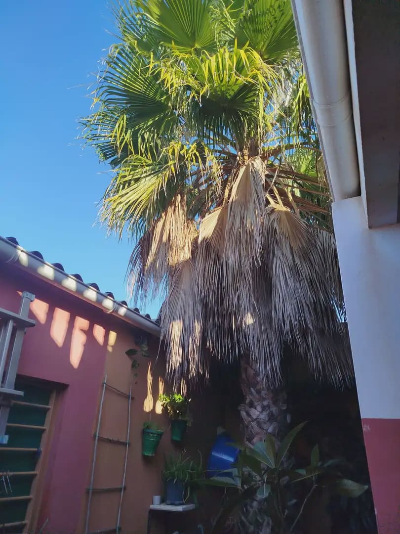3 bedroom Finca/Country House for sale in La Linea de la Concepcion - € 182,000 (Ref: 9818564)