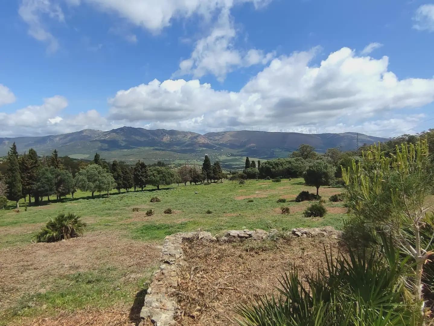 Grunde uden byggetilladelser til salg i Tarifa - € 420.000 (Ref: 9818583)