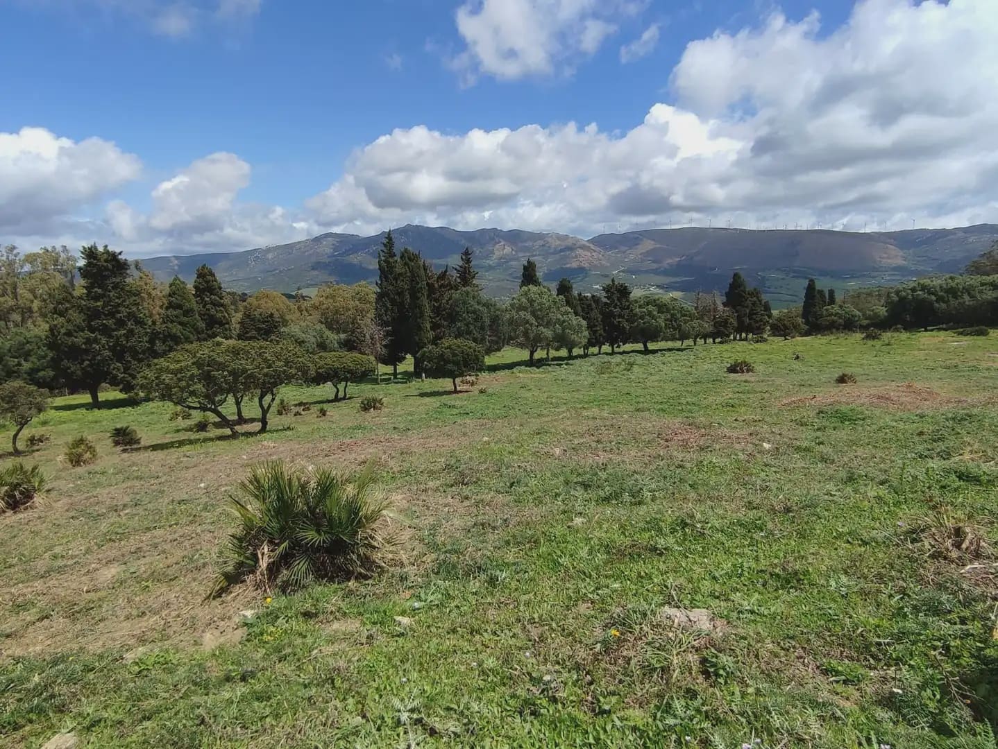 Grunde uden byggetilladelser til salg i Tarifa - € 420.000 (Ref: 9818583)