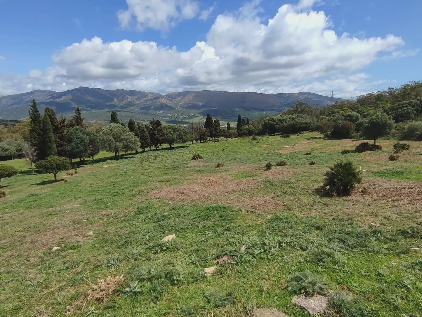 Grunde uden byggetilladelser til salg i Tarifa - € 420.000 (Ref: 9818583)