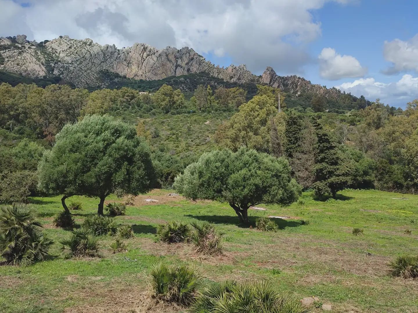 Grunde uden byggetilladelser til salg i Tarifa - € 420.000 (Ref: 9818583)