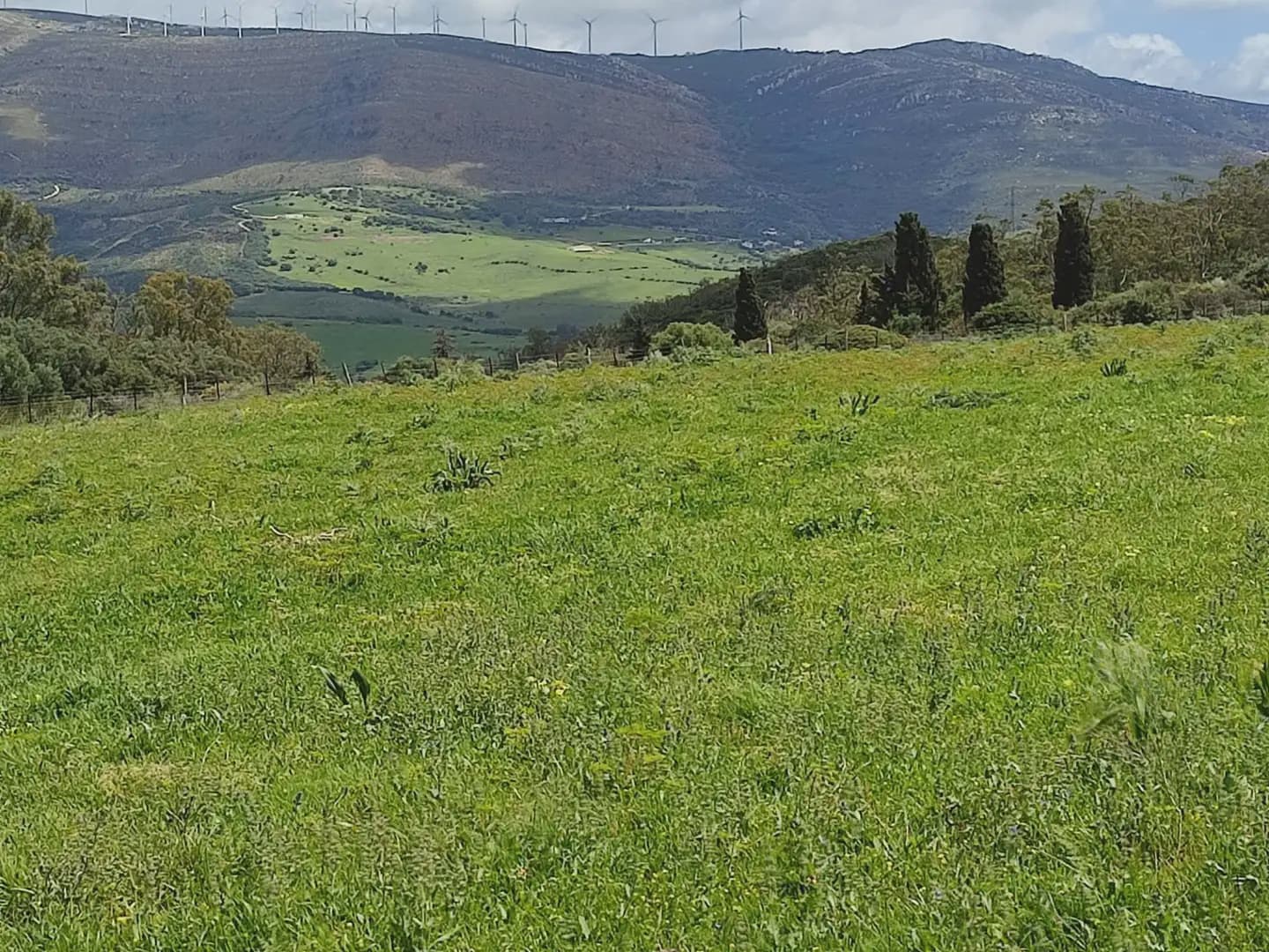 Grunde uden byggetilladelser til salg i Tarifa - € 420.000 (Ref: 9818583)