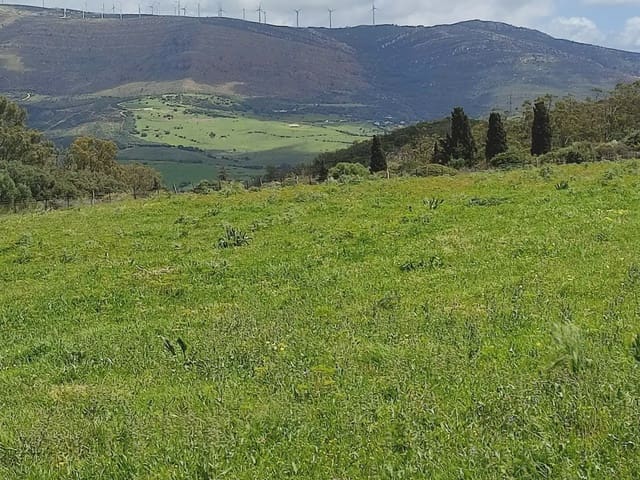 Grunde uden byggetilladelser til salg i Tarifa - € 420.000 (Ref: 9818583)