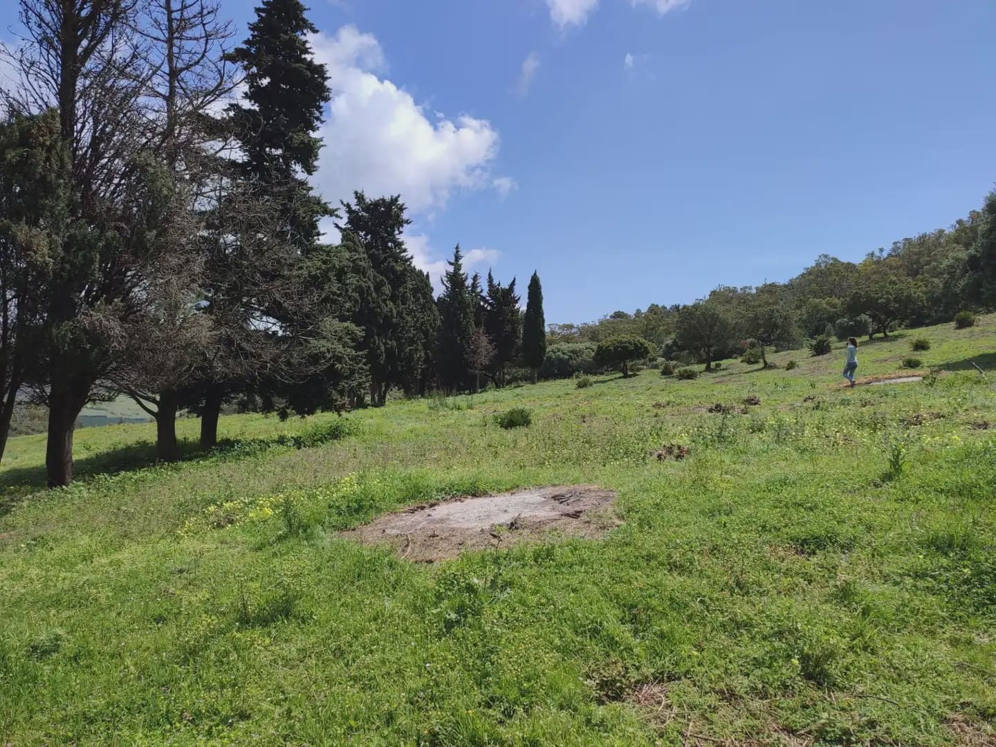 Grunde uden byggetilladelser til salg i Tarifa - € 420.000 (Ref: 9818583)