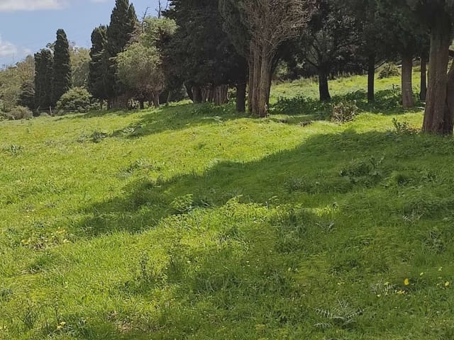 Grunde uden byggetilladelser til salg i Tarifa - € 420.000 (Ref: 9818583)