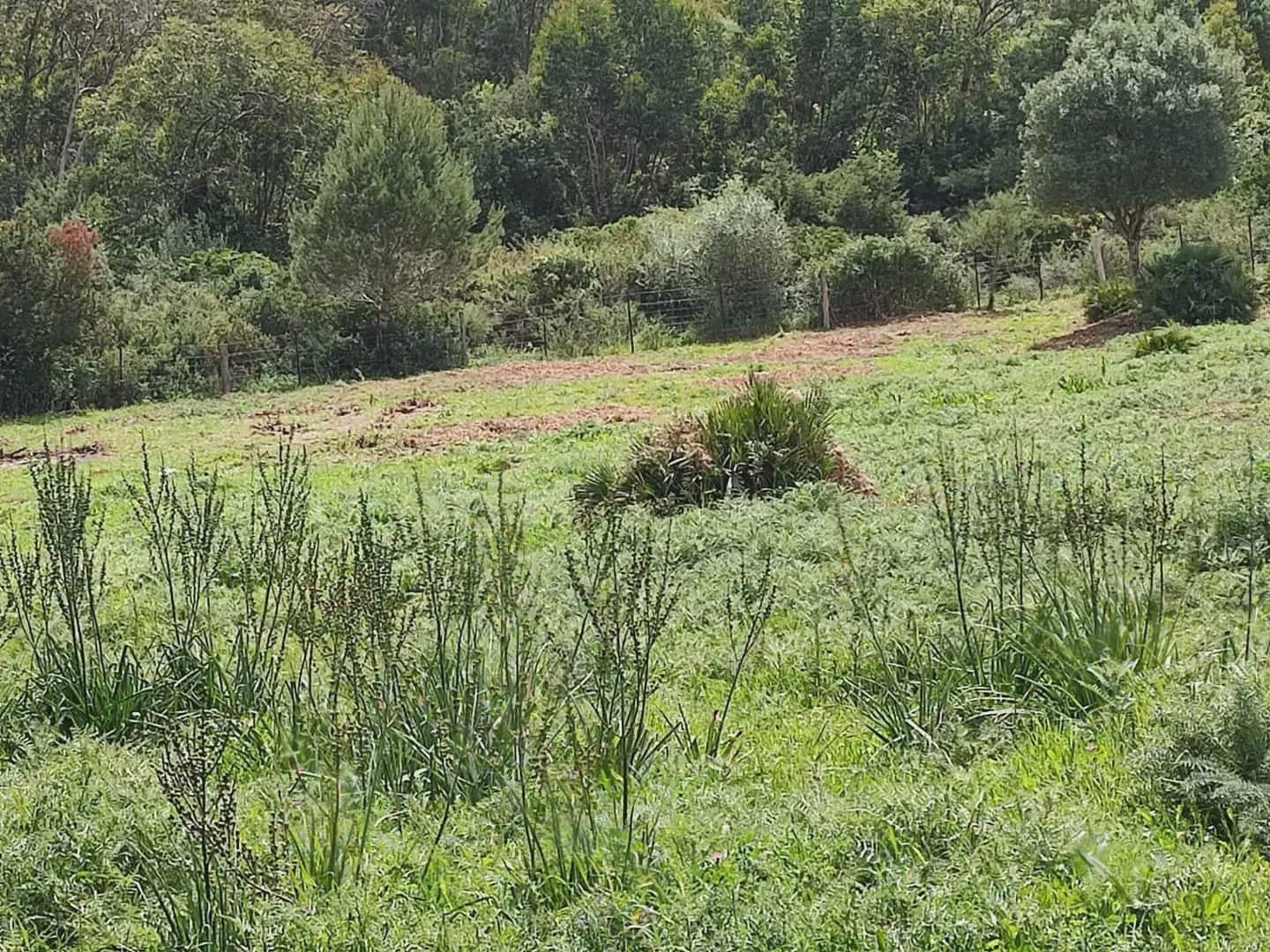Grunde uden byggetilladelser til salg i Tarifa - € 420.000 (Ref: 9818583)