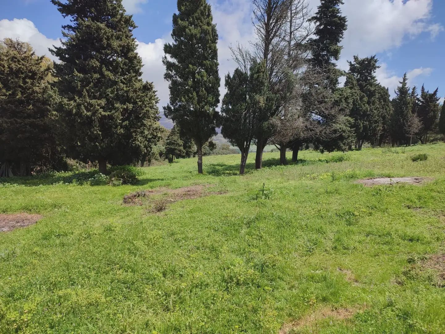 Grunde uden byggetilladelser til salg i Tarifa - € 420.000 (Ref: 9818583)