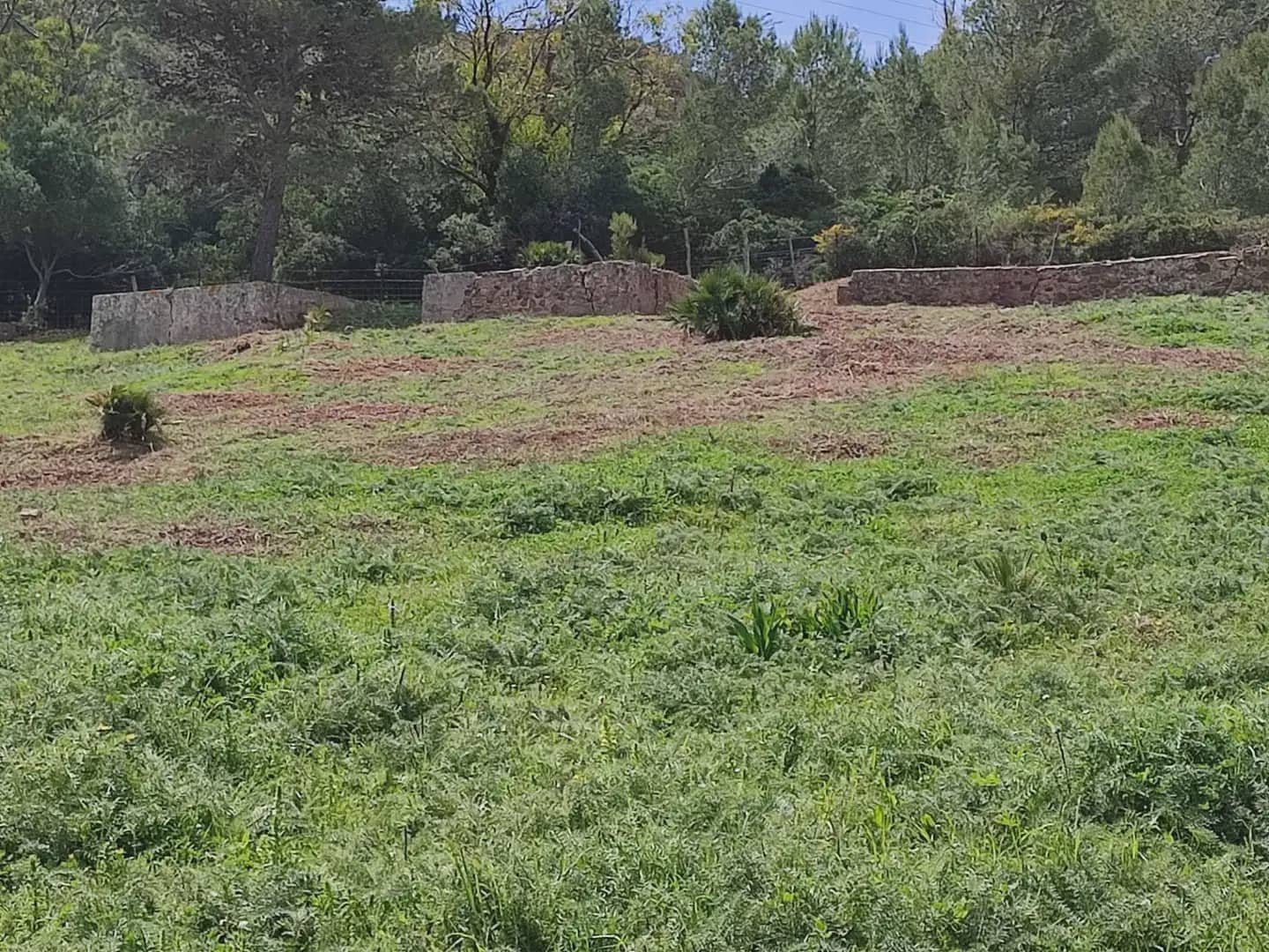 Grunde uden byggetilladelser til salg i Tarifa - € 420.000 (Ref: 9818583)