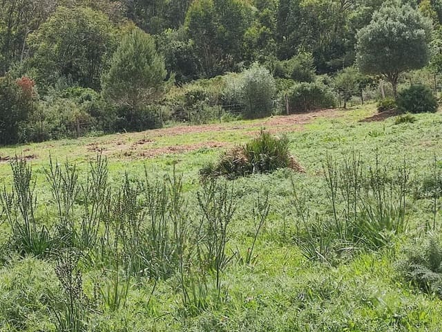 Grunde uden byggetilladelser til salg i Tarifa - € 420.000 (Ref: 9818583)