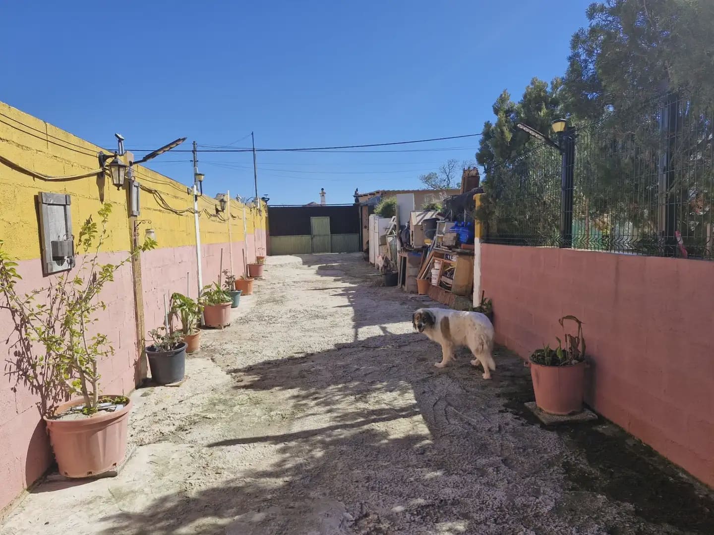 Finca/Country House for sale in La Linea de la Concepcion - € 199,000 (Ref: 9818587)