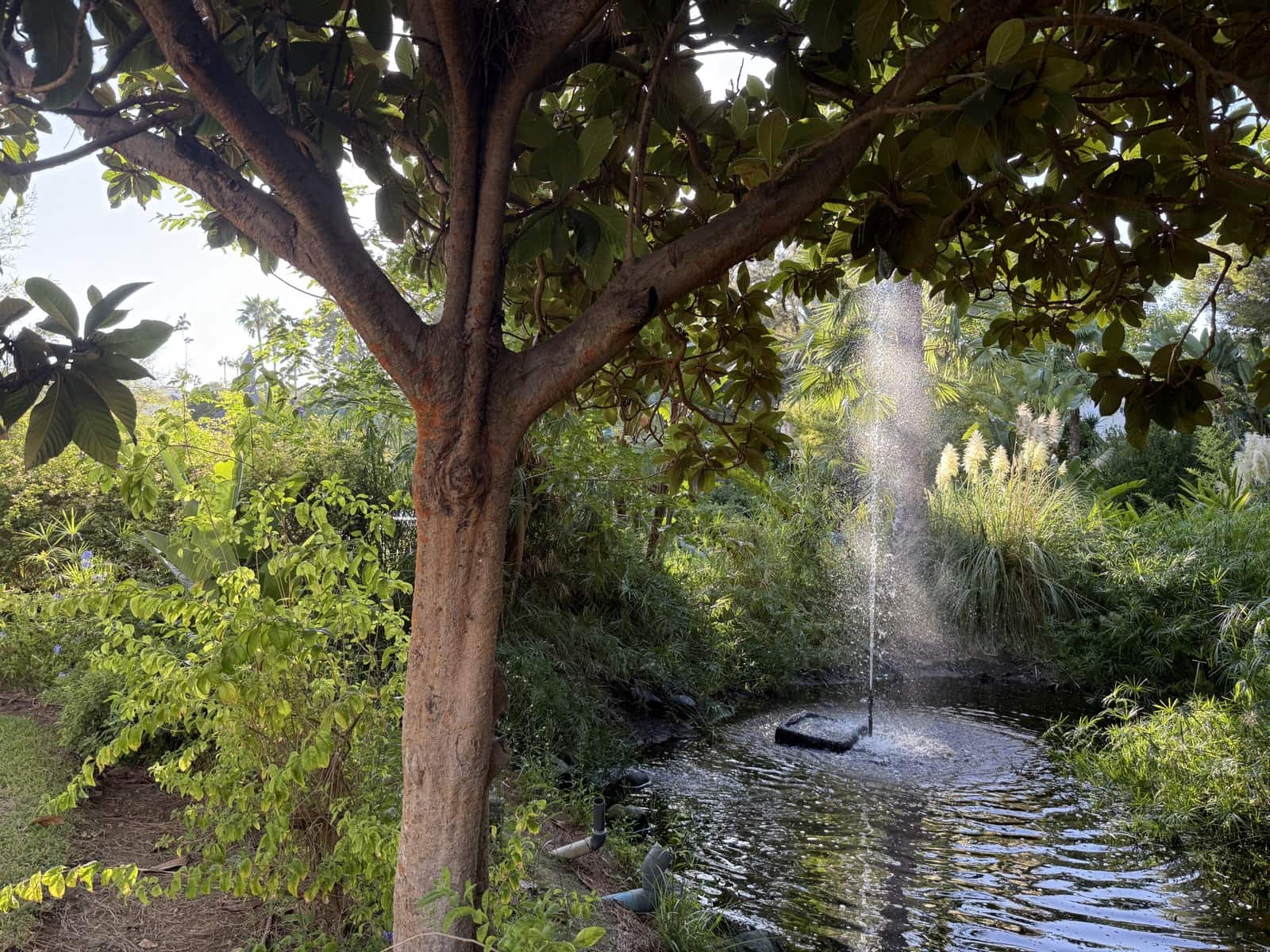 3 soverom Penthouse til salgs i Guadalmina med svømmebasseng garasje - € 750 000 (Ref: 9398802)