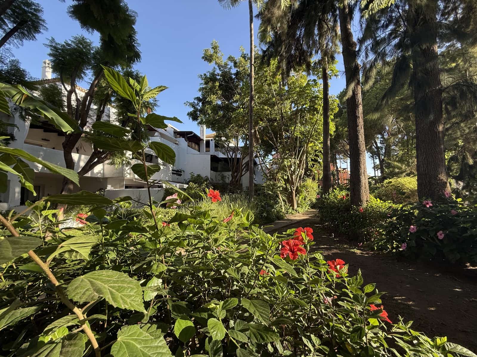 3 soverom Penthouse til salgs i Guadalmina med svømmebasseng garasje - € 750 000 (Ref: 9398802)