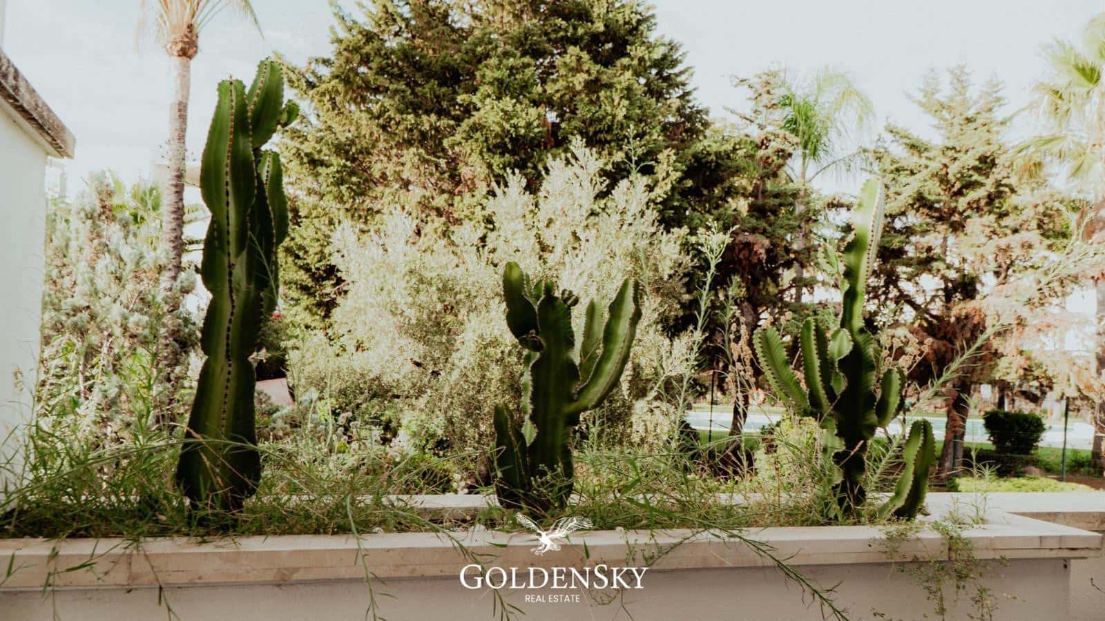 2 chambre Appartement à vendre à Nueva Andalucia avec garage - 380 000 € (Ref: 9414942)