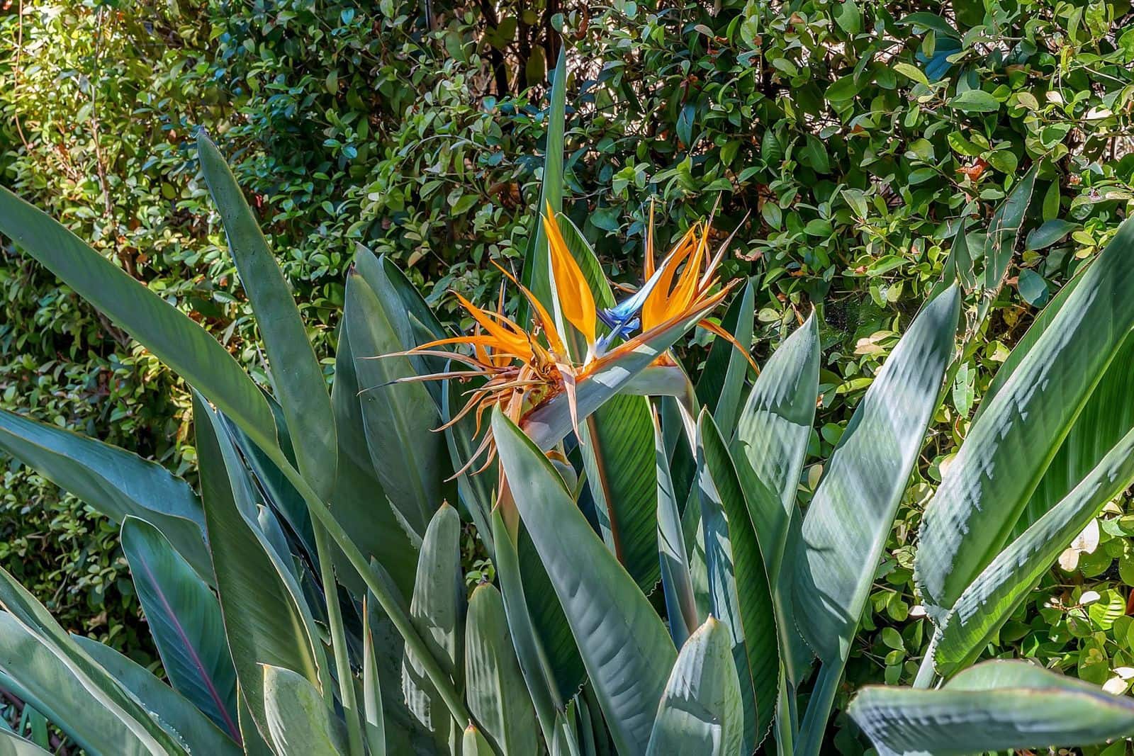 3 soverom Leilighet til salgs i Benahavis - € 945 000 (Ref: 9703340)