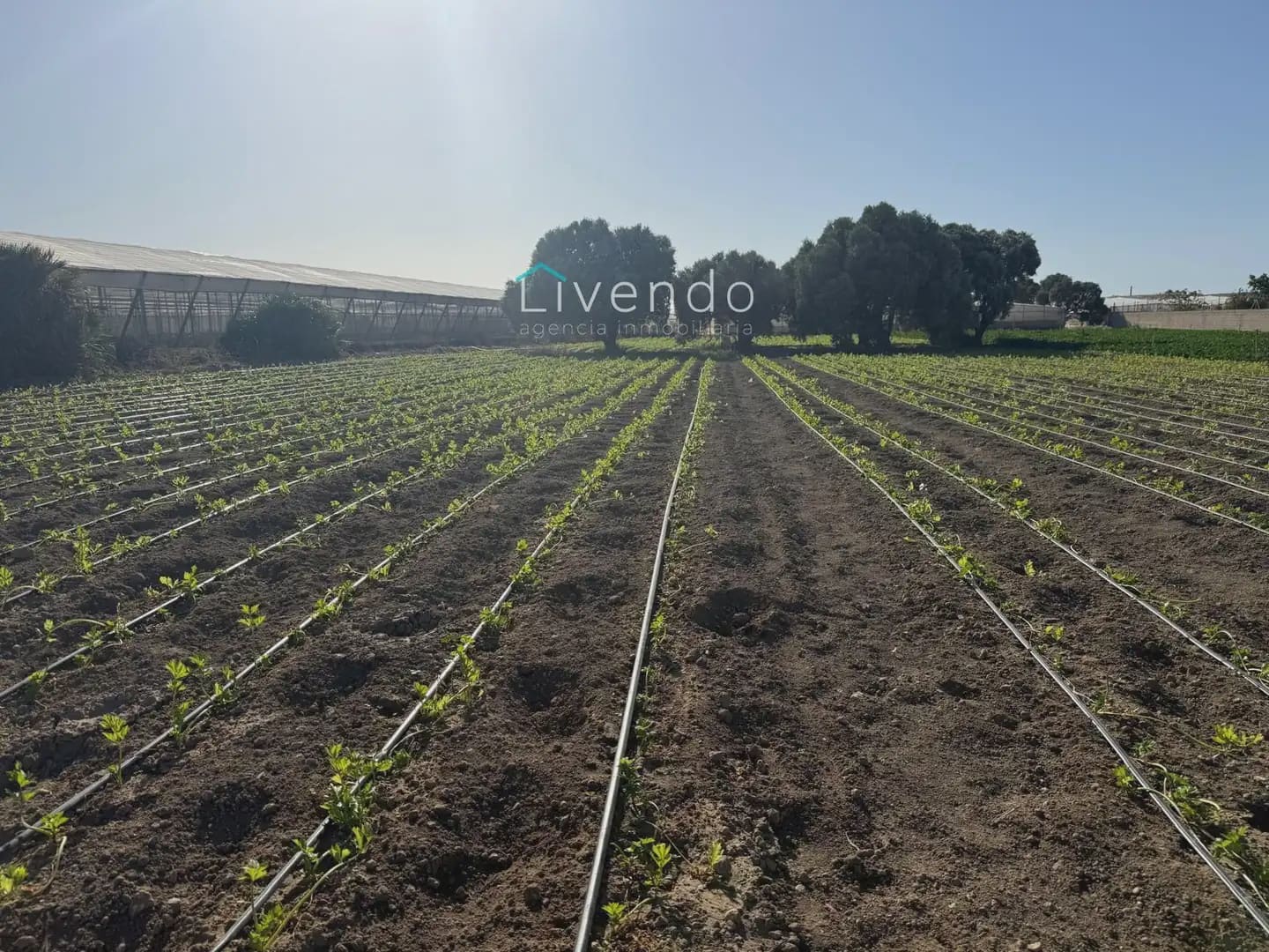 Landgrundstück zu verkaufen in Conil de la Frontera - 255.000 € (Ref: 10167283)