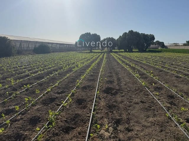 Landgrundstück zu verkaufen in Conil de la Frontera - 255.000 € (Ref: 10167283)