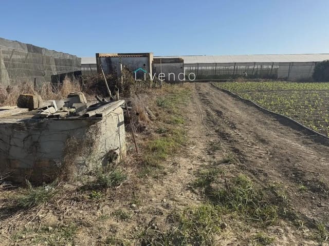 Landgrundstück zu verkaufen in Conil de la Frontera - 255.000 € (Ref: 10167283)