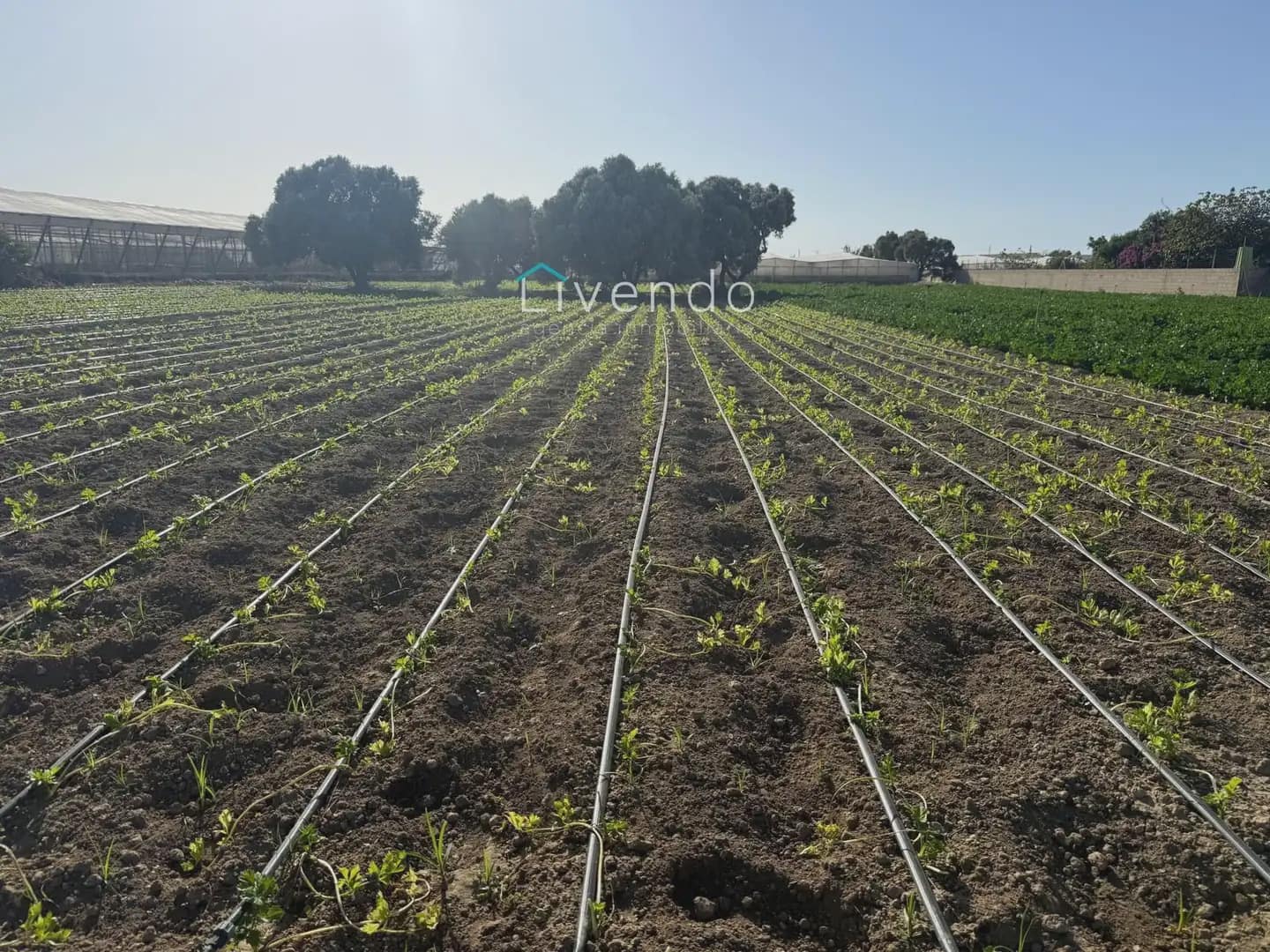 Landgrundstück zu verkaufen in Conil de la Frontera - 255.000 € (Ref: 10167283)