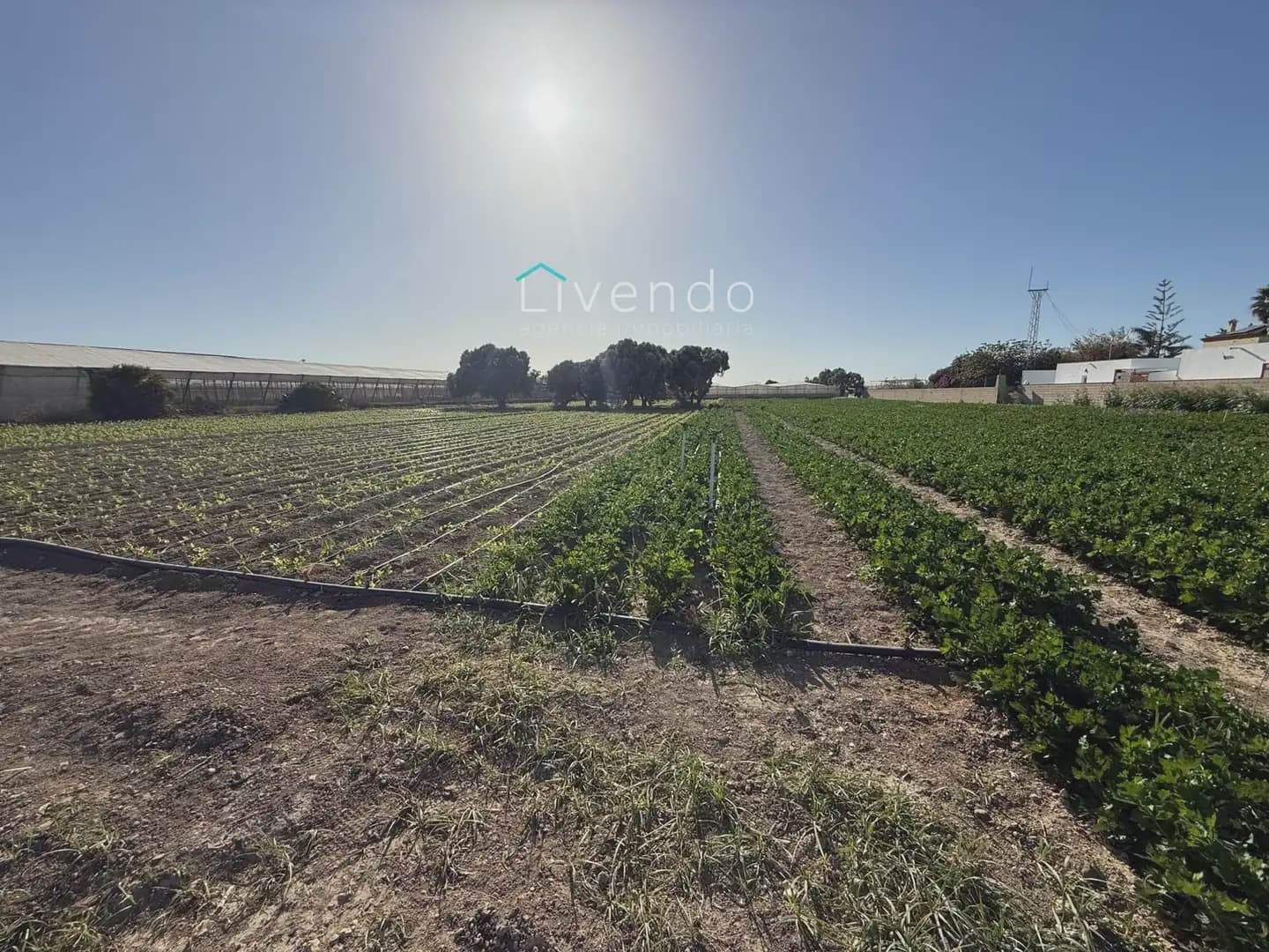 Landgrundstück zu verkaufen in Conil de la Frontera - 255.000 € (Ref: 10167283)
