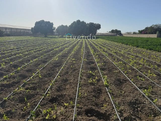 Landgrundstück zu verkaufen in Conil de la Frontera - 255.000 € (Ref: 10167283)