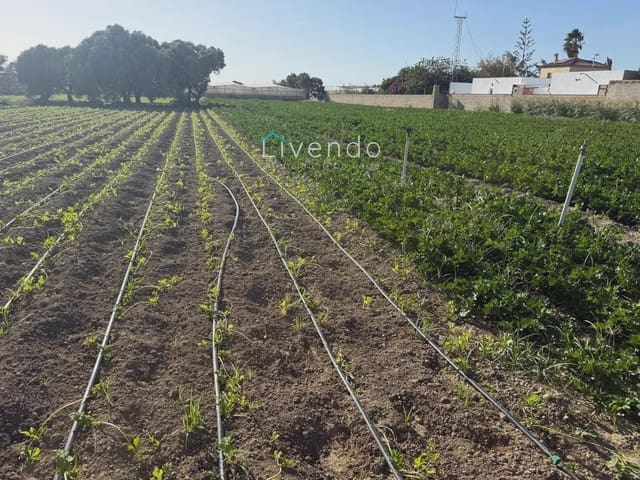 Landgrundstück zu verkaufen in Conil de la Frontera - 255.000 € (Ref: 10167283)