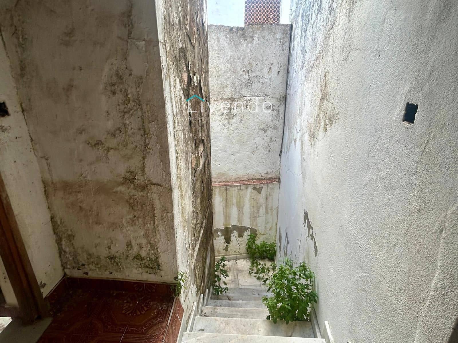 Ruin till salu i Vejer de la Frontera - 310 000 € (Ref: 9537723)