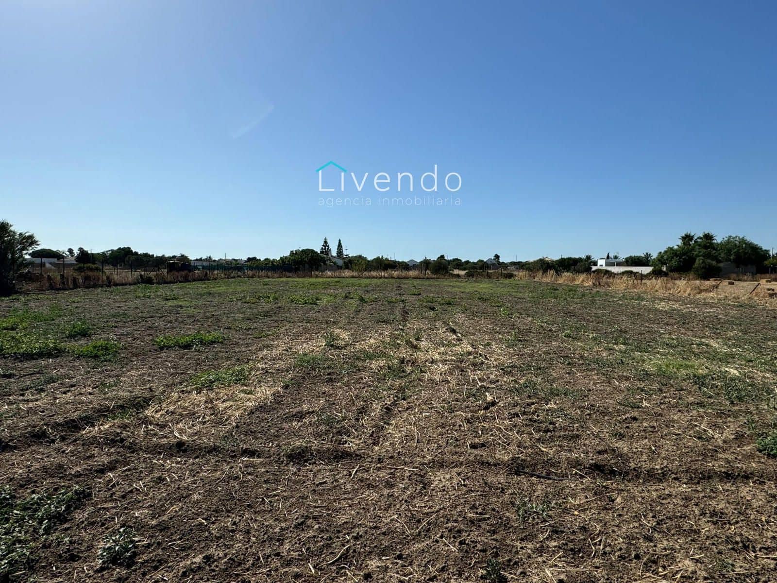 Mark till salu i Vejer de la Frontera - 250 000 € (Ref: 9537731)