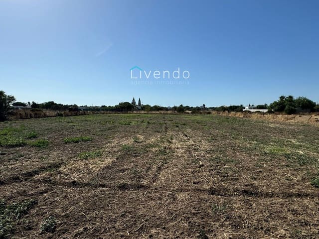 Mark till salu i El Palmar, Vejer de la Frontera - 250 000 € (Ref: 9537731)