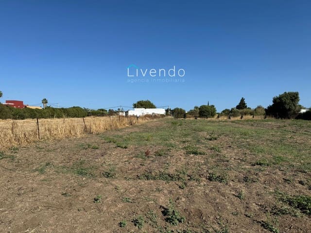 Mark till salu i El Palmar, Vejer de la Frontera - 250 000 € (Ref: 9537731)