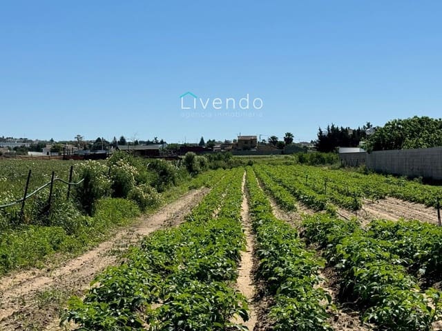 Terreno/Finca Rústica en Conil de la Frontera en venta - 79.000 € (Ref: 9537732)