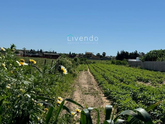 Terreno/Finca Rústica en Conil de la Frontera en venta - 79.000 € (Ref: 9537732)