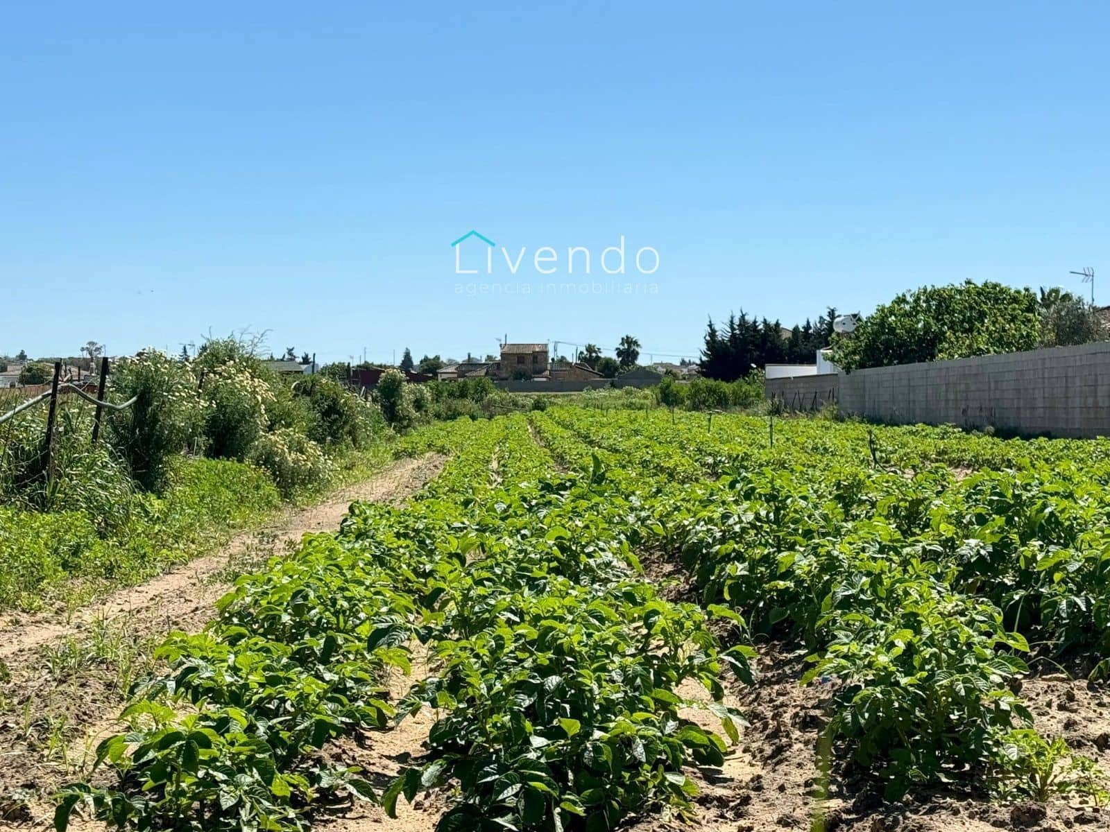 Terreno/Finca Rústica en Conil de la Frontera en venta - 79.000 € (Ref: 9537732)