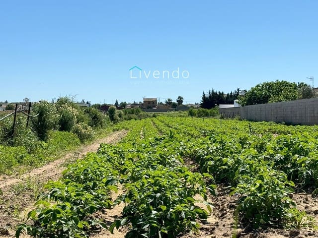 Terreno/Finca Rústica en Conil de la Frontera en venta - 79.000 € (Ref: 9537732)