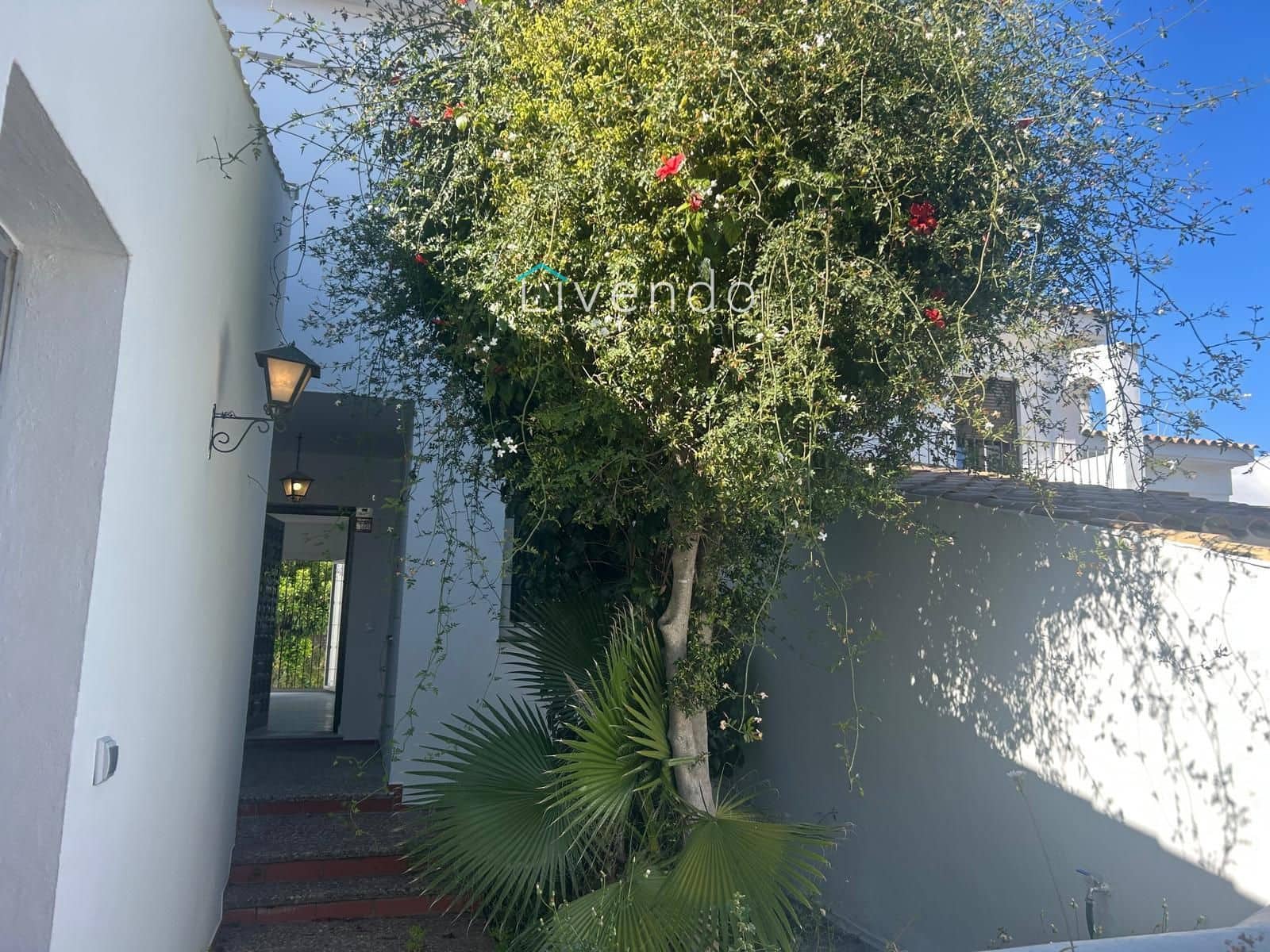 3 makuuhuone Omakotitalo myytävänä paikassa Vejer de la Frontera - 324 999 € (Ref: 9537743)