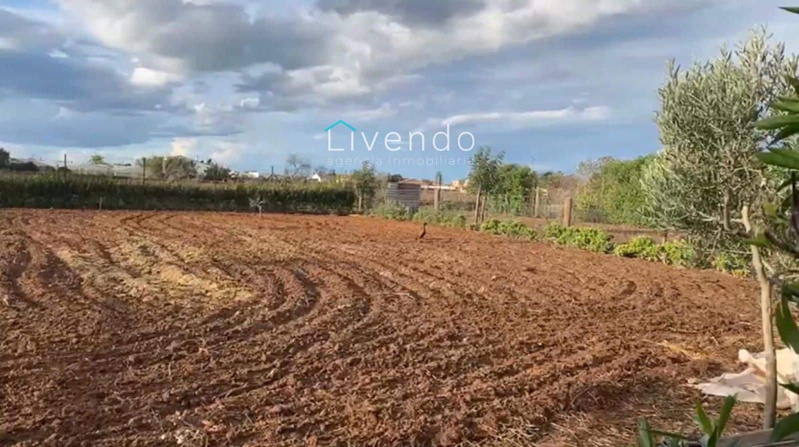 Grond te koop in Conil de la Frontera - € 119.900 (Ref: 9629534)