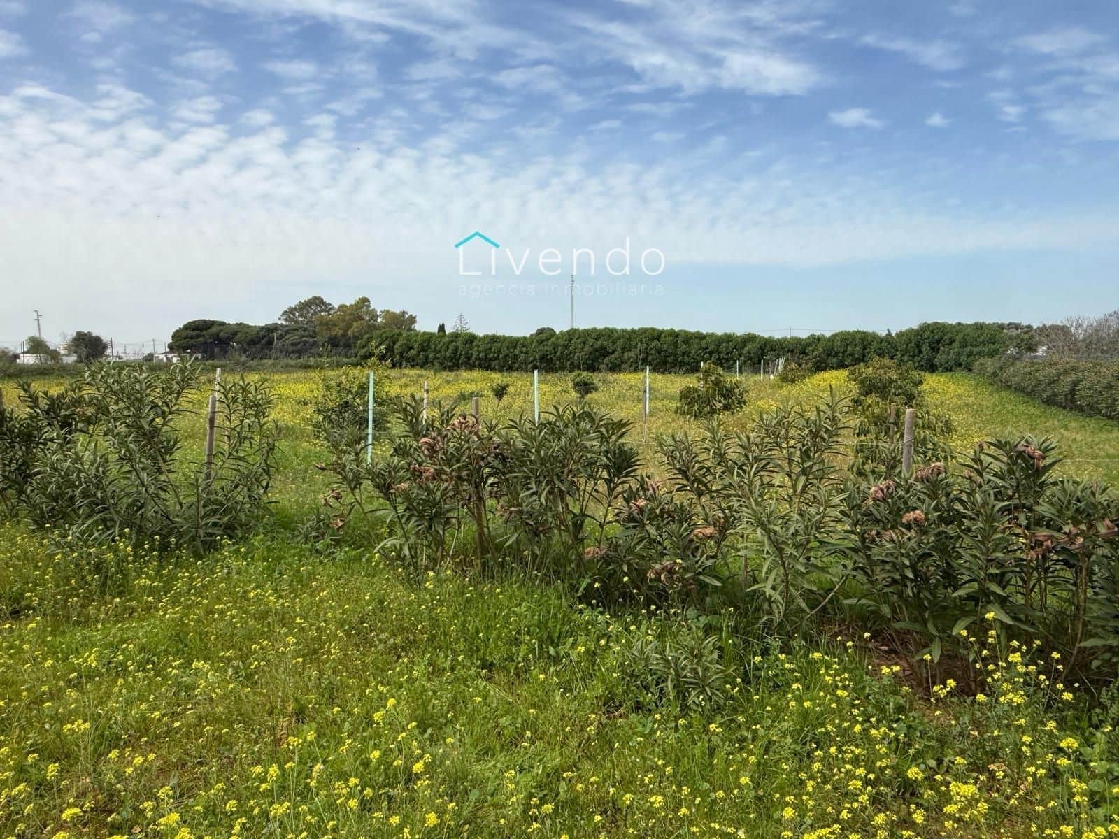 Grond te koop in Conil de la Frontera - € 119.900 (Ref: 9629534)